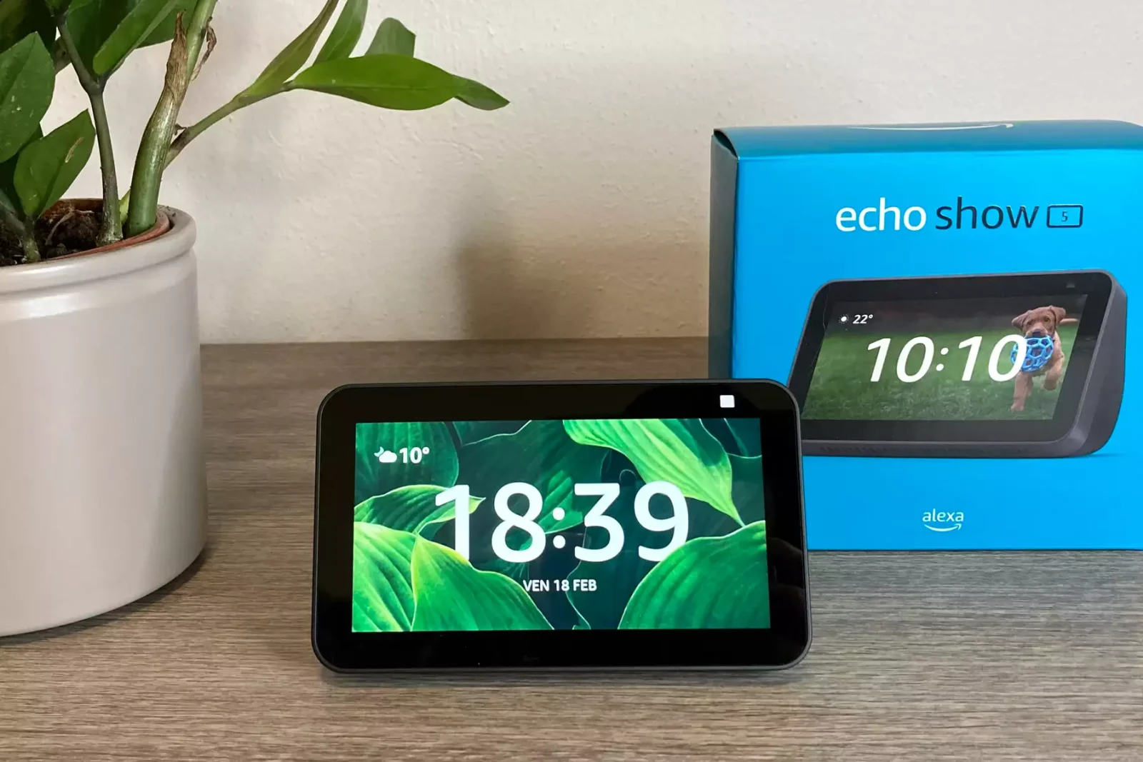 Un dispositivo Echo Show 5 posizionato su un mobile in salotto con sullo sfondo la sua scatola e una pianta decorativa